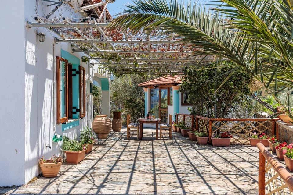 Property building, Patio, Garden