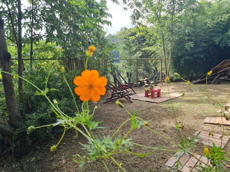 Bela Flor Suíte em Lumiar Apartment in State of Rio de Janeiro
