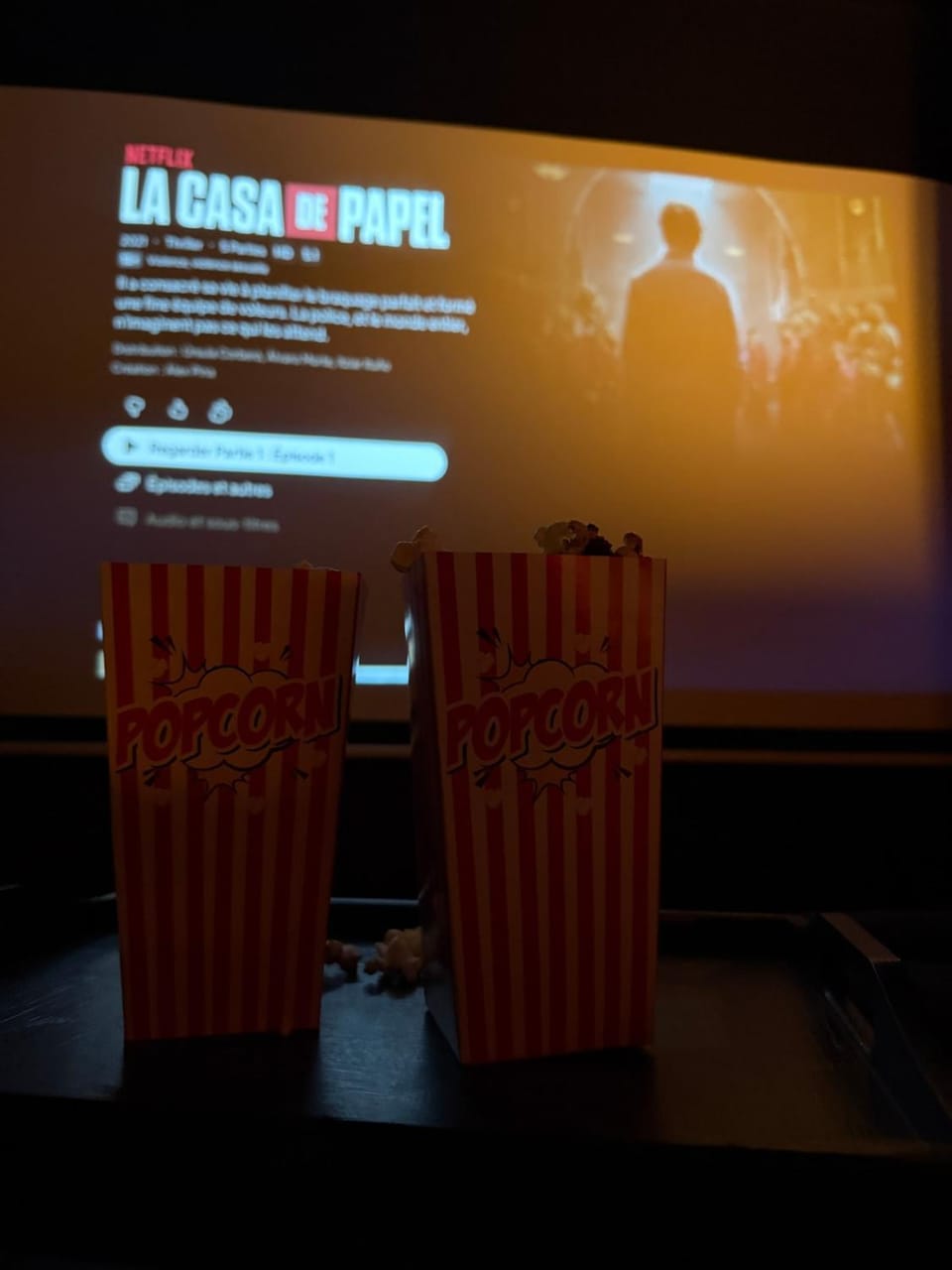 Ciné Room Home Cinema Netflix Experience Apartment in Lunel