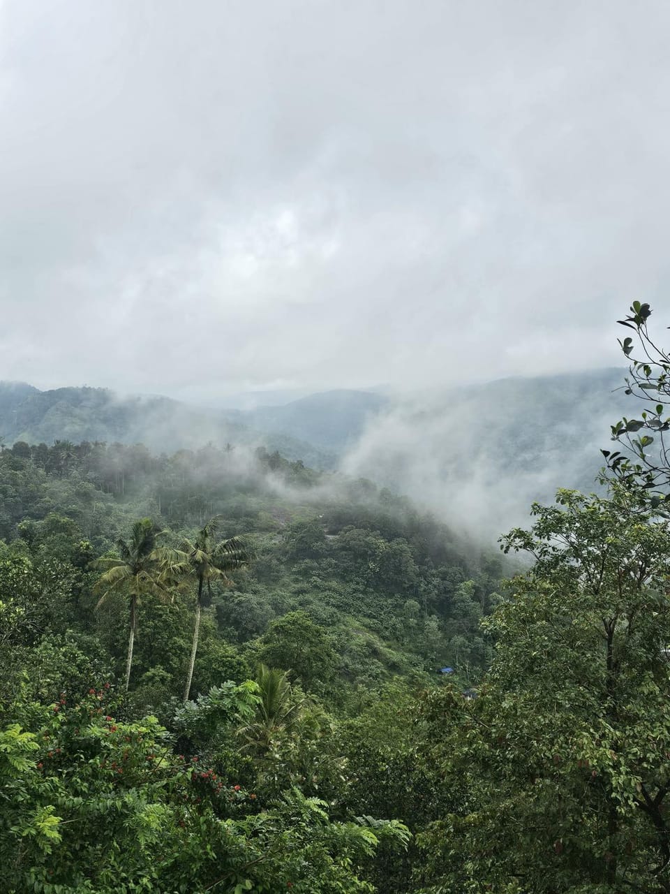 Idukki Nook Vacation rental in Kerala