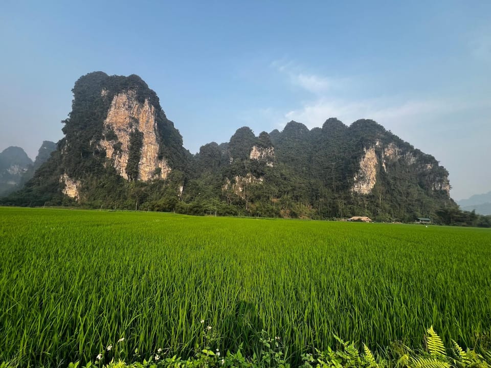 Homestay Hoàng Tuấn Apartment in Vietnam