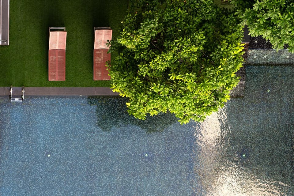 Bird's eye view, Garden, Swimming pool, sunbed