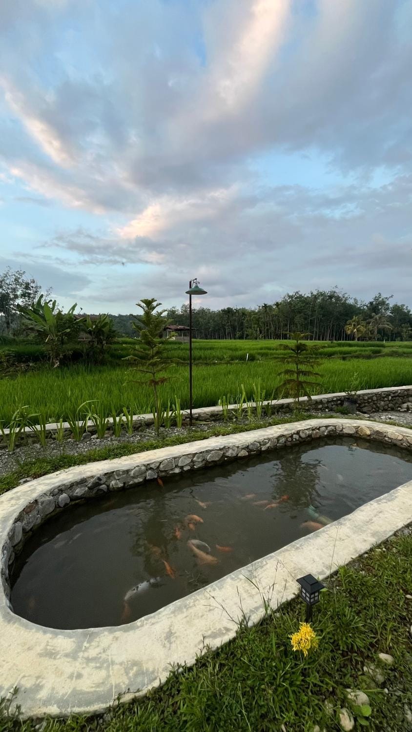 Green Corner VILLA & Jungle Tour Bed and Breakfast in Indonesia