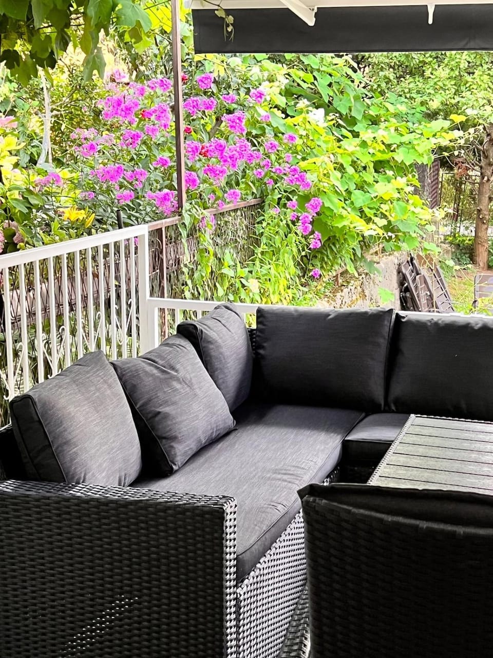 Entire House with THE BEST View and Garage Apartment in Sarajevo