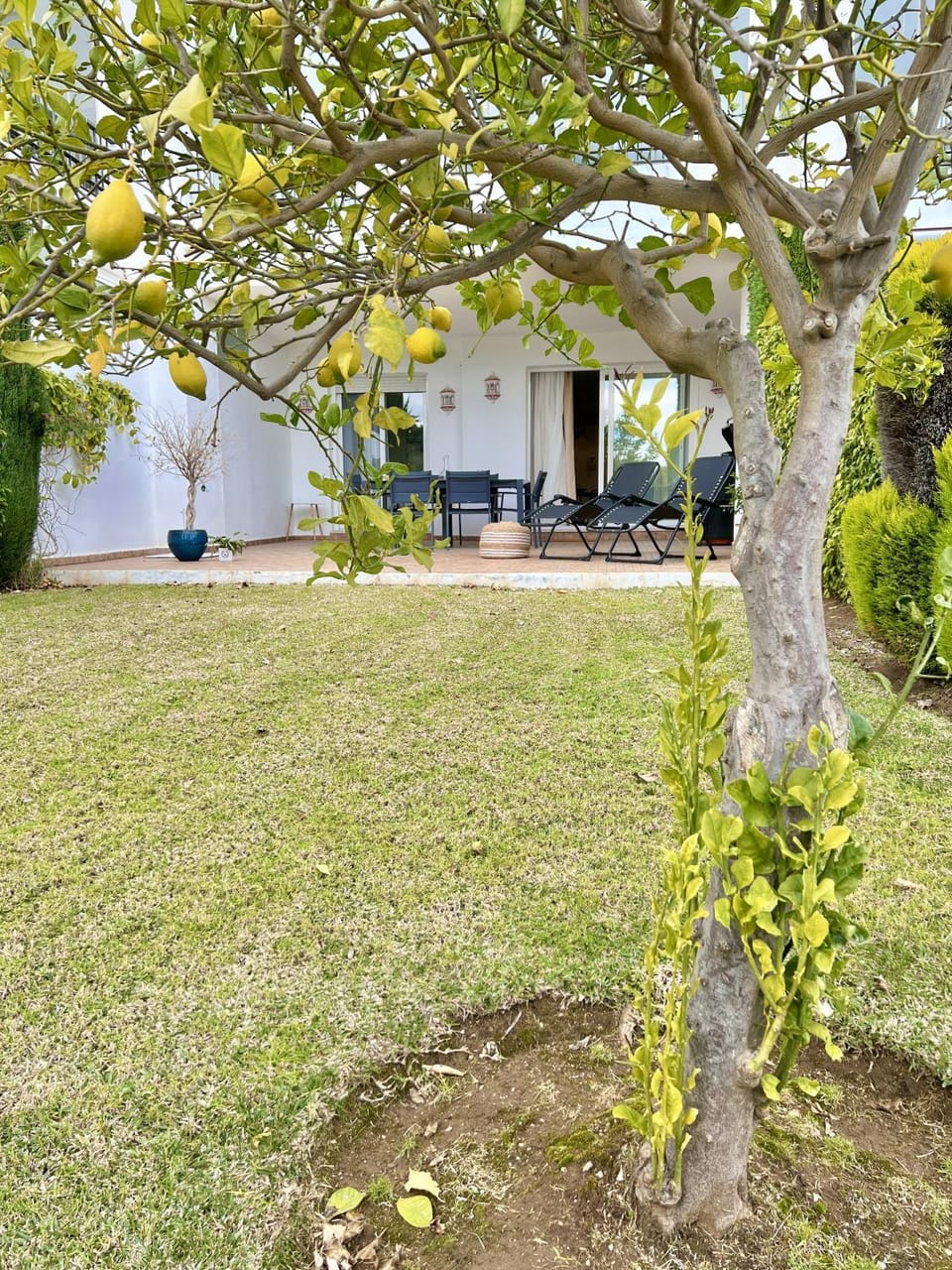 Patio, Garden, Garden view