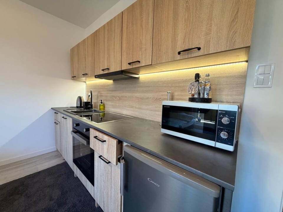 Ostoja Apartament Bytom Miechowice 24H Samodzielne zameldowanie Apartment in Czechia