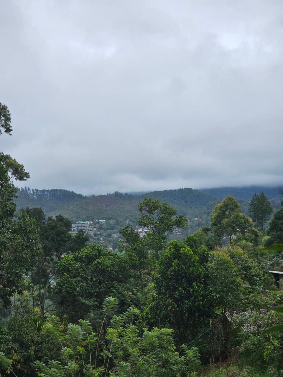 Mountain view