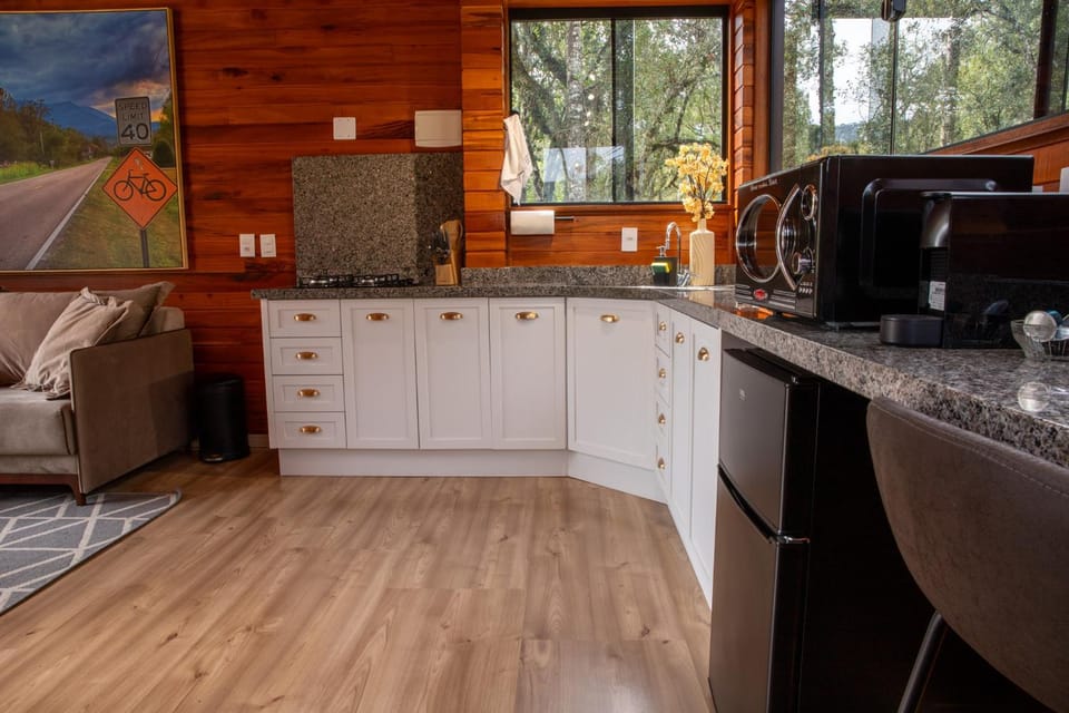 Communal kitchen, minibar, oven, stove