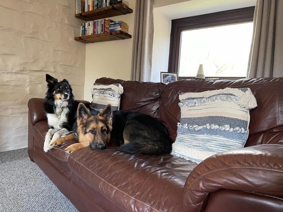 Rural, Secure Garden, Woodland Walks, 23 min to beach House in Clydau