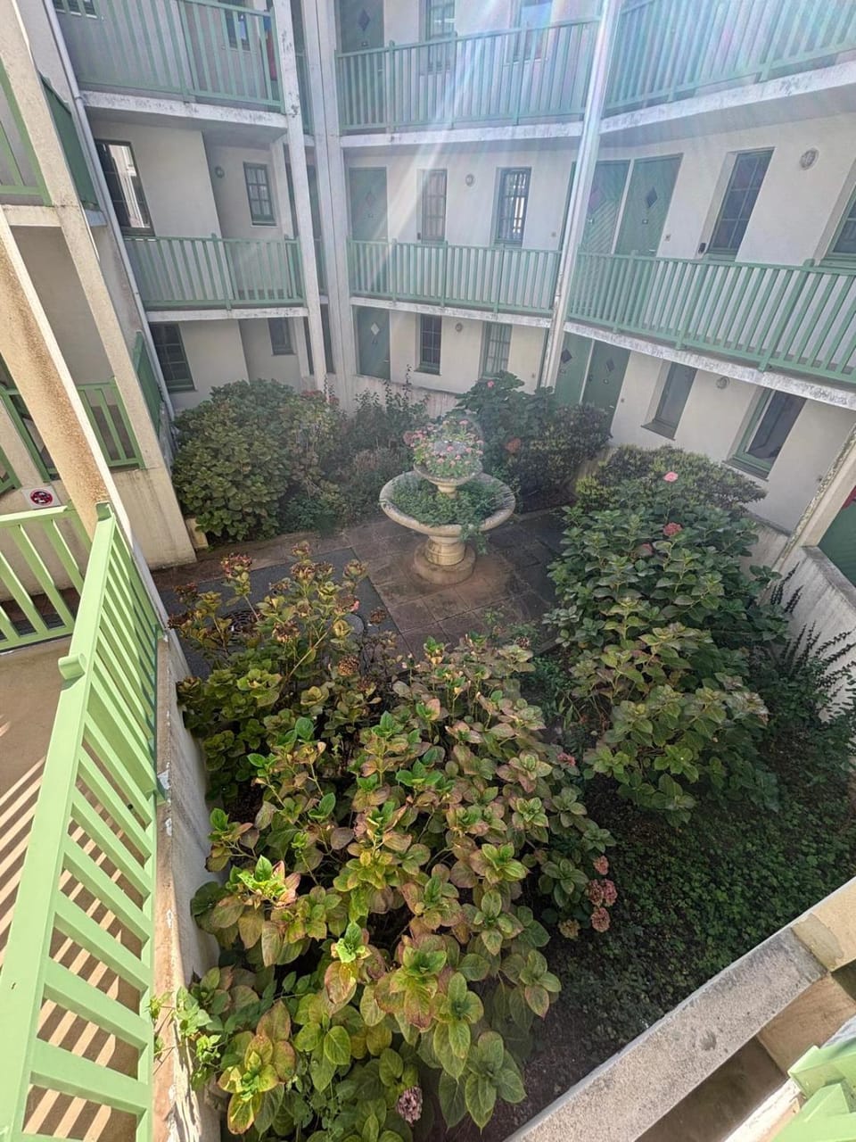 Garden view