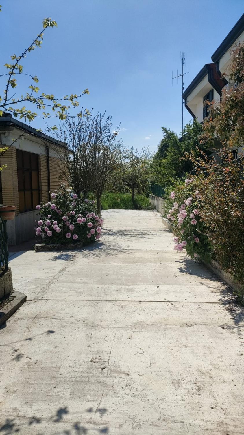 Property building, Garden