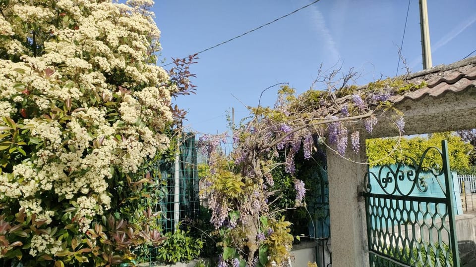 Spring, Garden