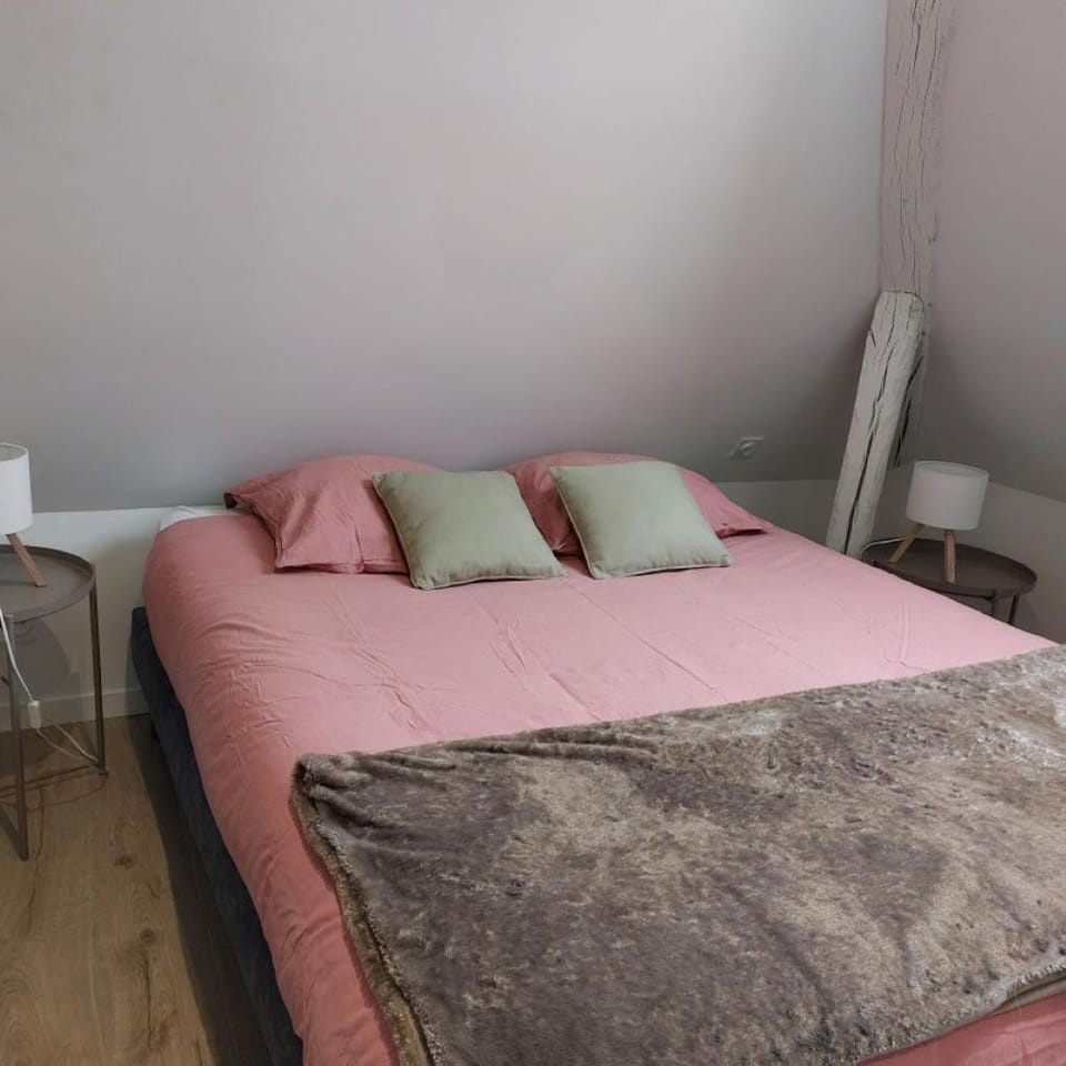 Le cocon citadin Apartment in Pays de la Loire