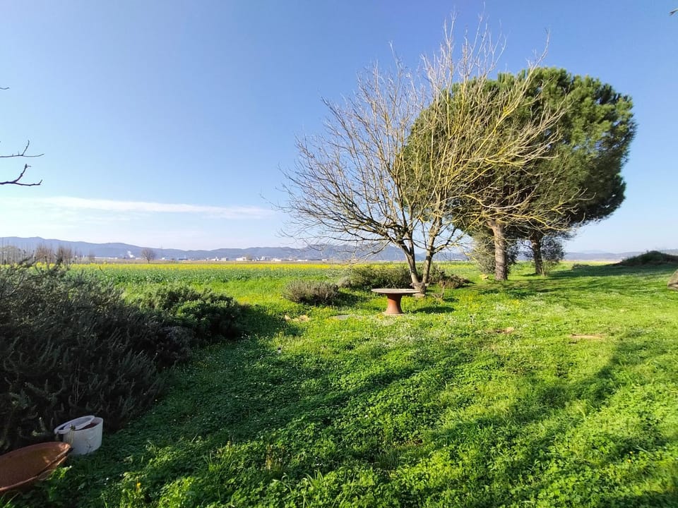 Spring, Day, Natural landscape, Garden, Garden view