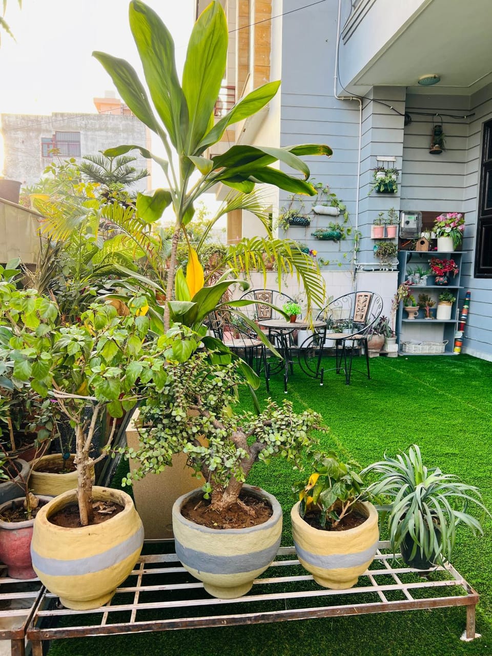 Property building, Garden