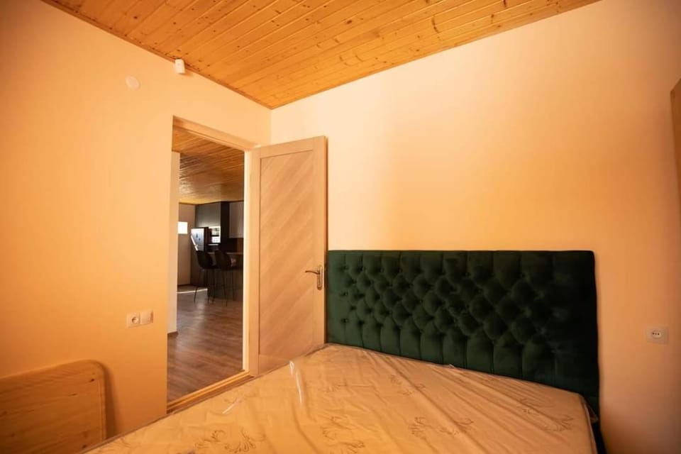 bazaleti gift Apartment in Georgia