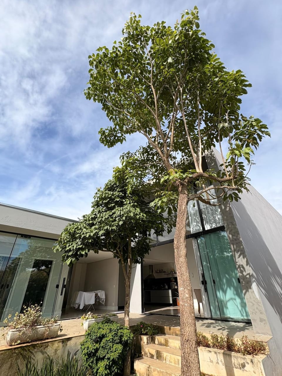 Garden view