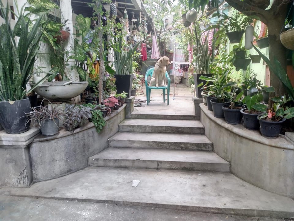 Olya home stay Apartment in Tangalle