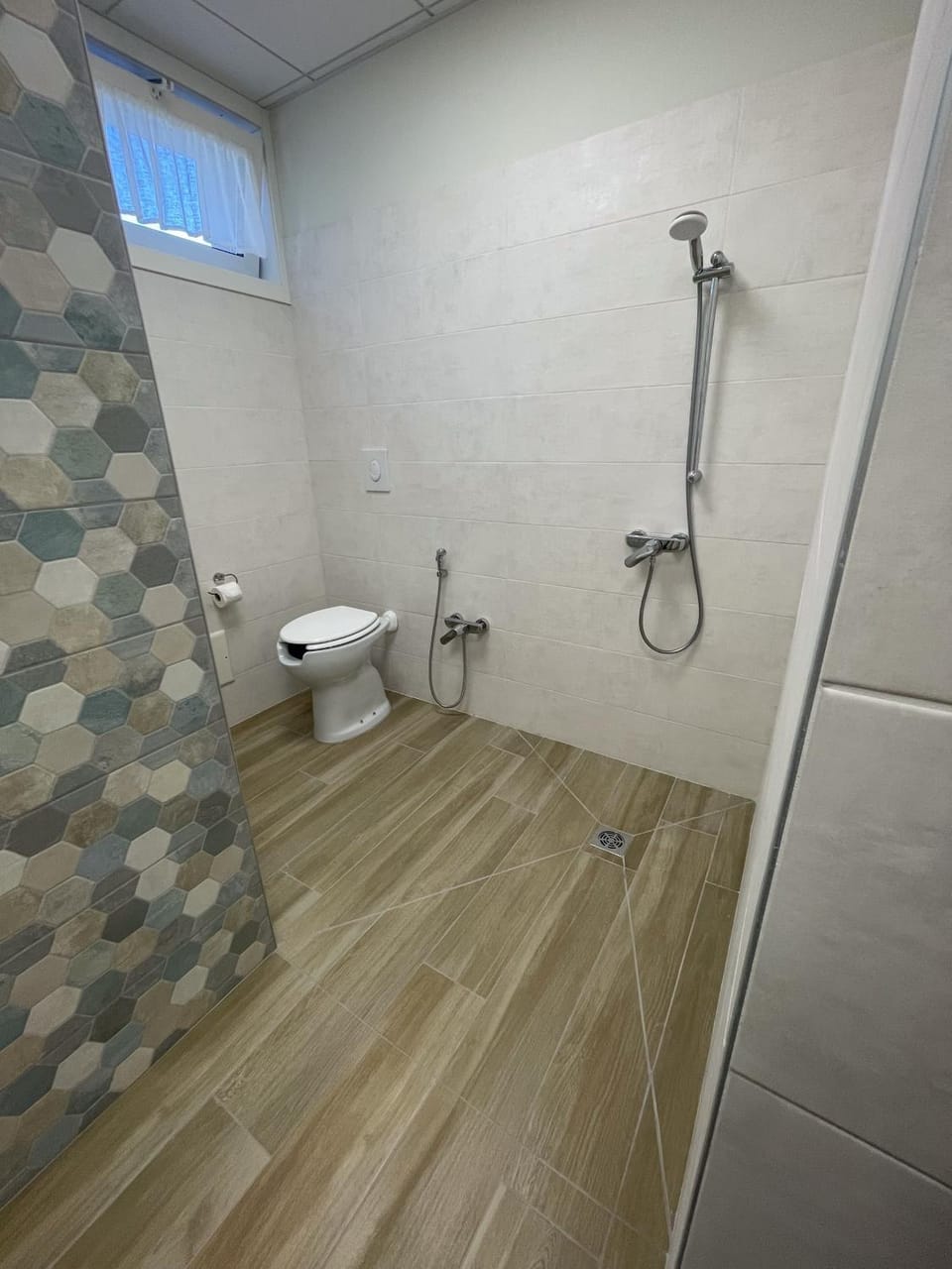 Shower, Toilet, Bathroom, Facility for disabled guests