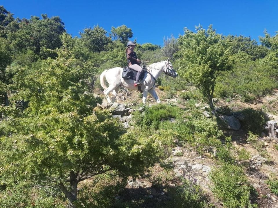 La ferme Apartment in Corsica