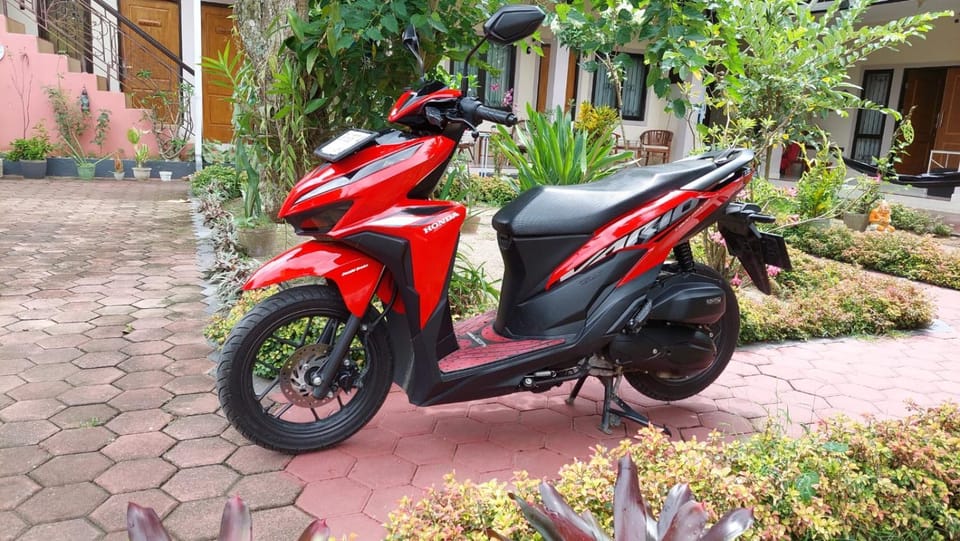 Property building, Garden, Garden view