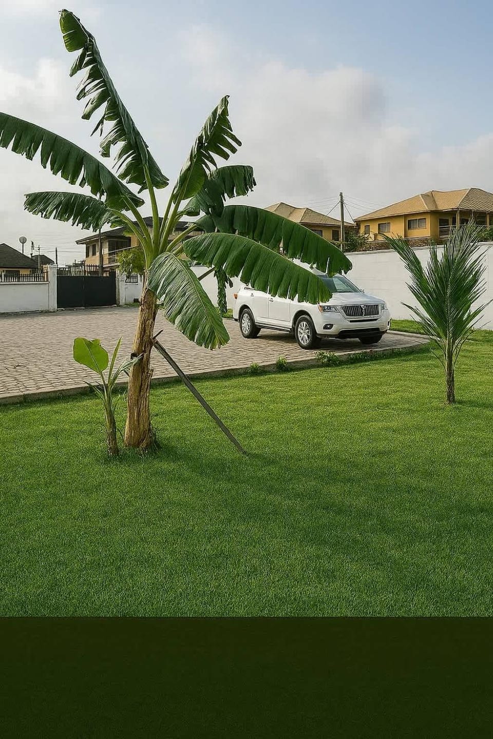 Garden view