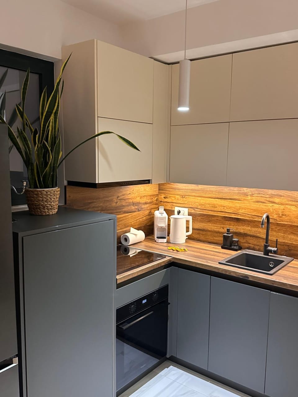 Coffee/tea facilities, Kitchen or kitchenette, dishwasher, oven, stove