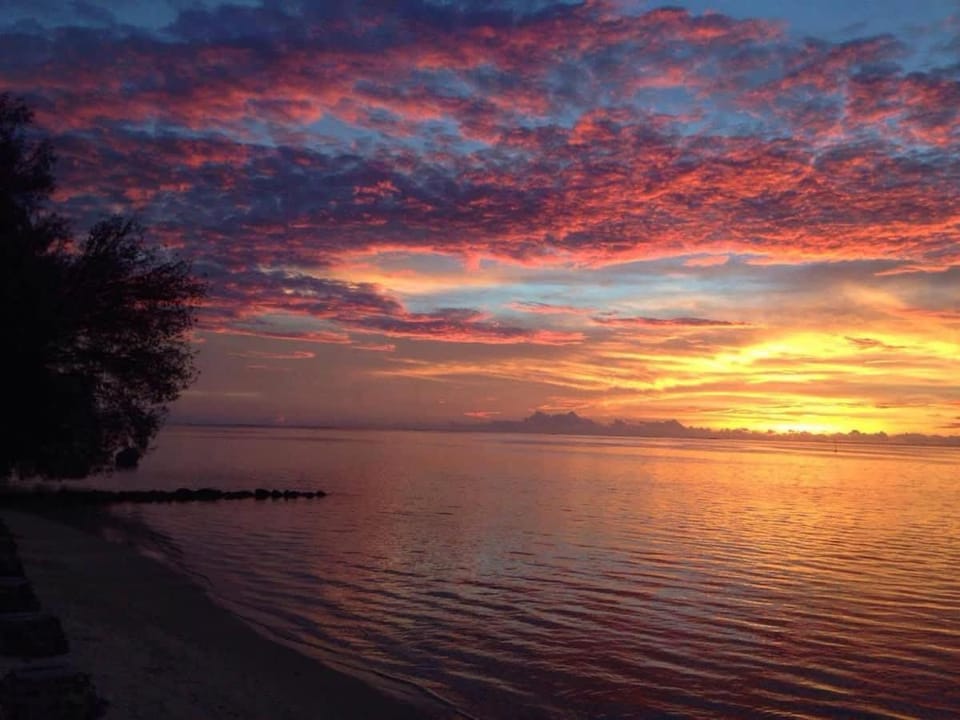 Charming 1BR Guesthouse in Beautiful Moorea House in Moorea-Maiao