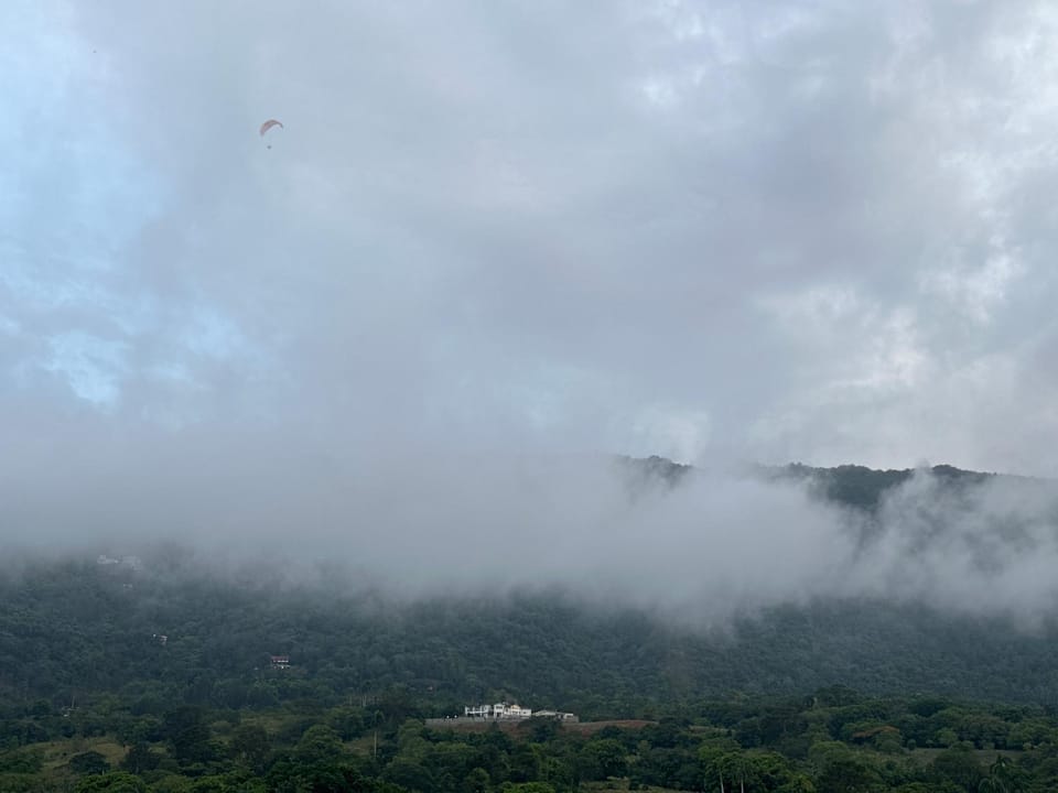 Landmark view