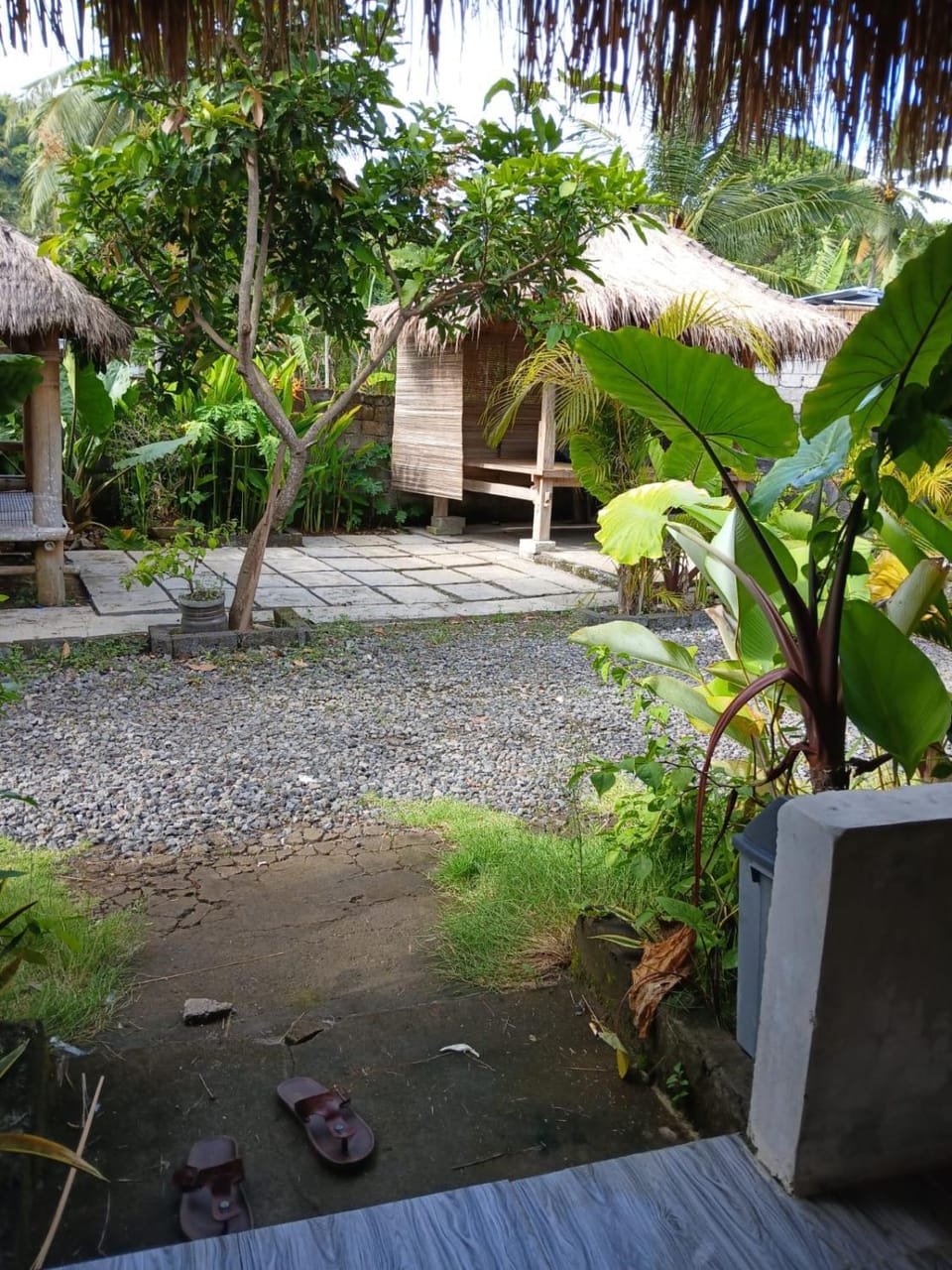 View (from property/room), Garden view