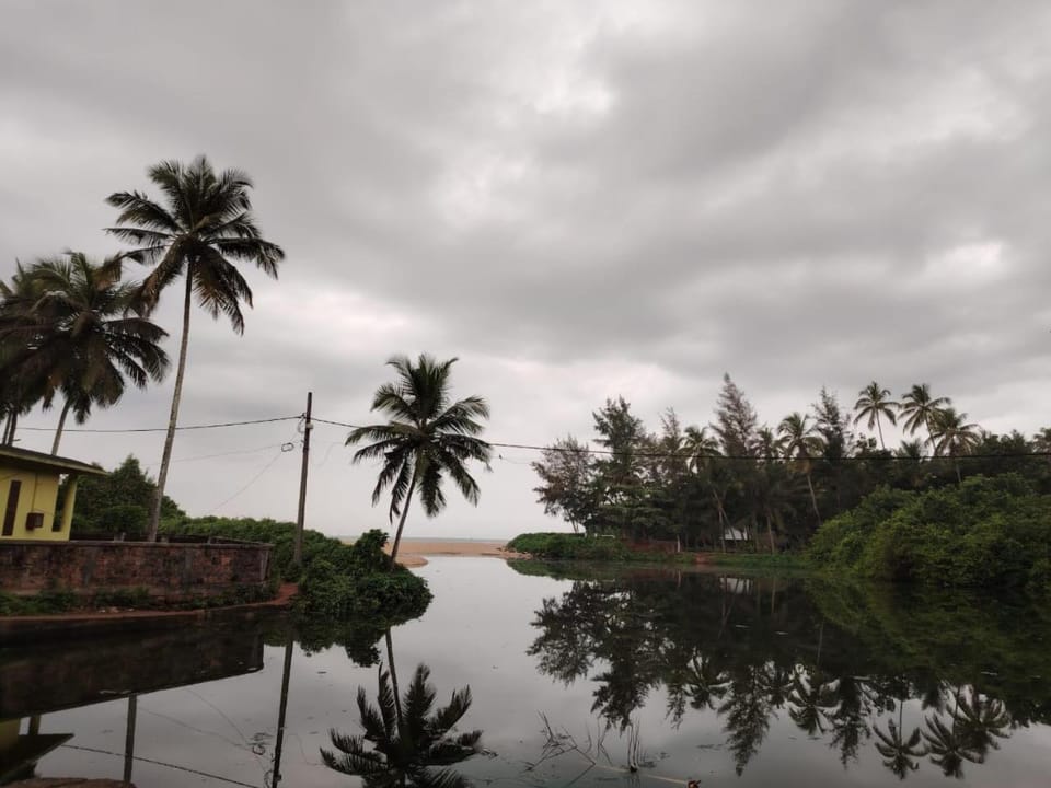 Natural landscape