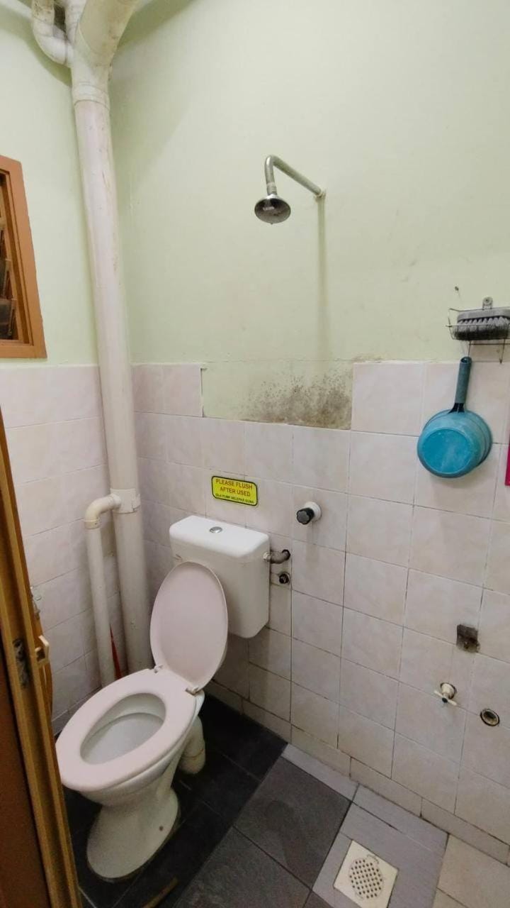 Shower, Toilet, Bathroom, bidet