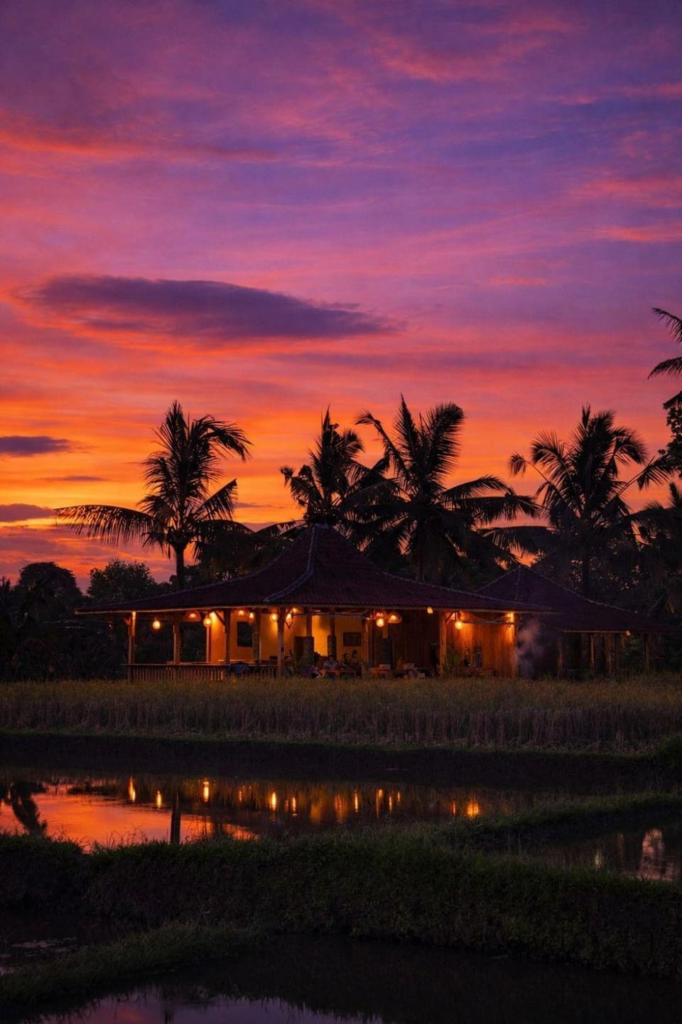 Natural landscape, Sunset