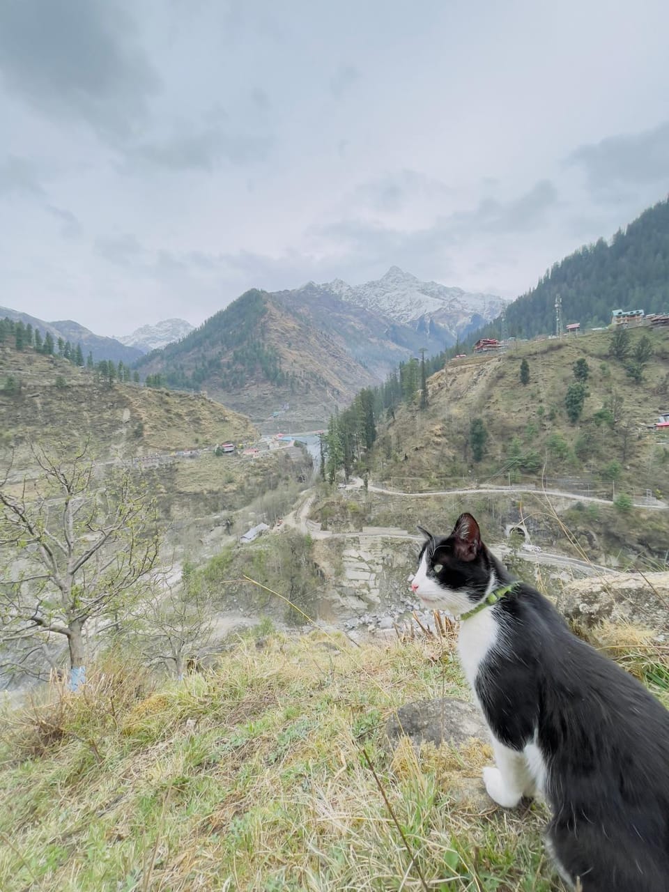 Mj home Vacation rental in Himachal Pradesh
