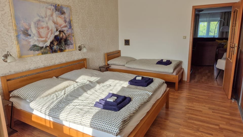 Bed, Photo of the whole room, Bedroom, towels