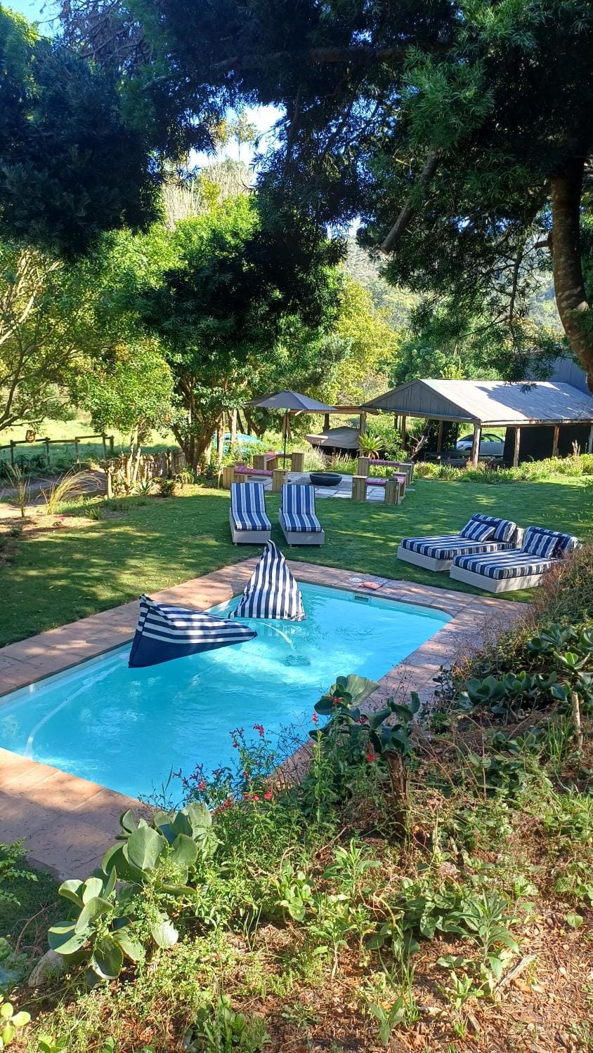 Garden, Pool view, Swimming pool, sunbed