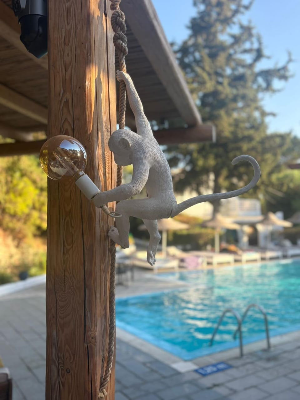 Casa Trees Boutique Hotel Hotel in Ialysos