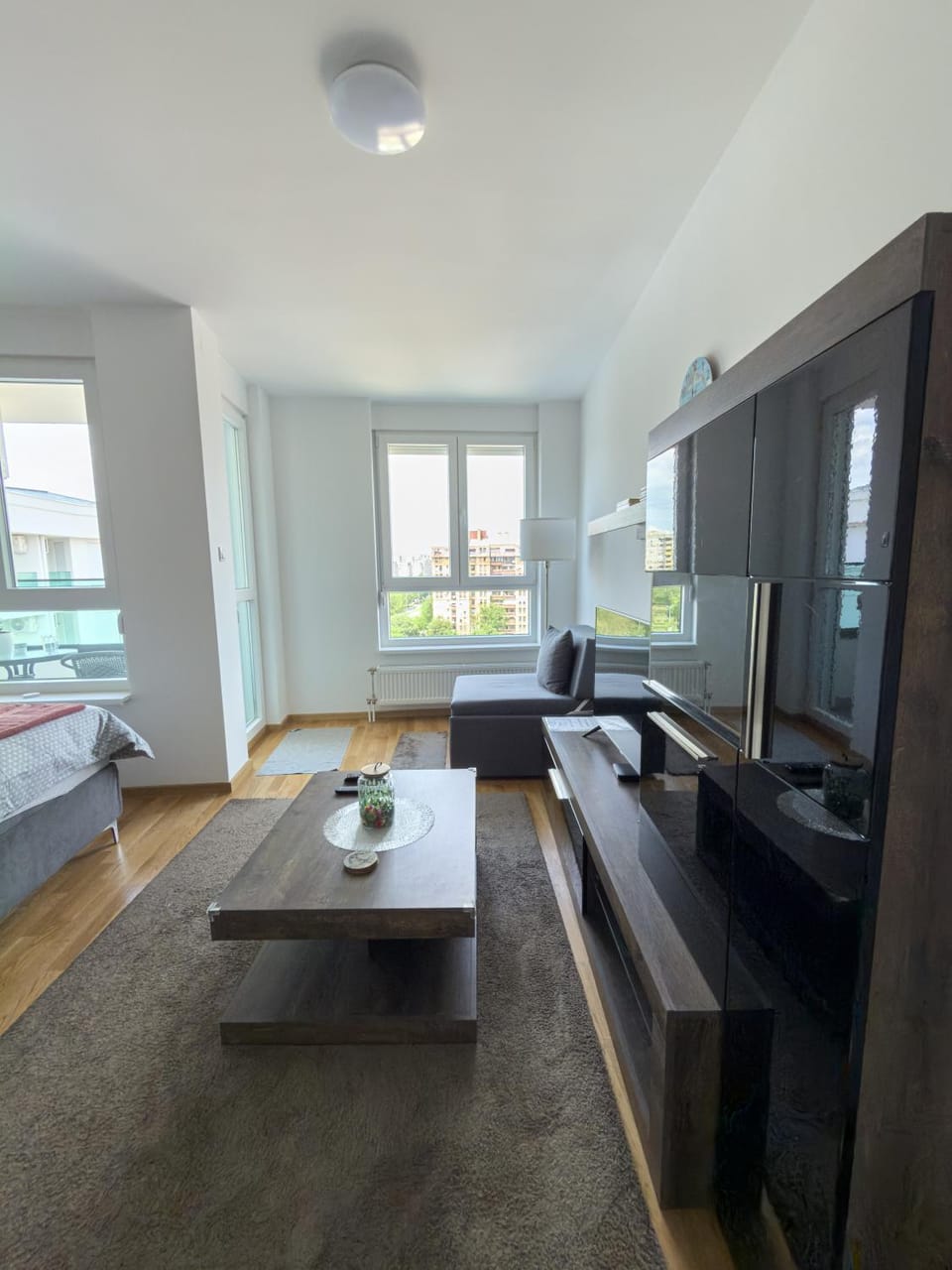 Blue Horizon Apartment Apartment in Serbia