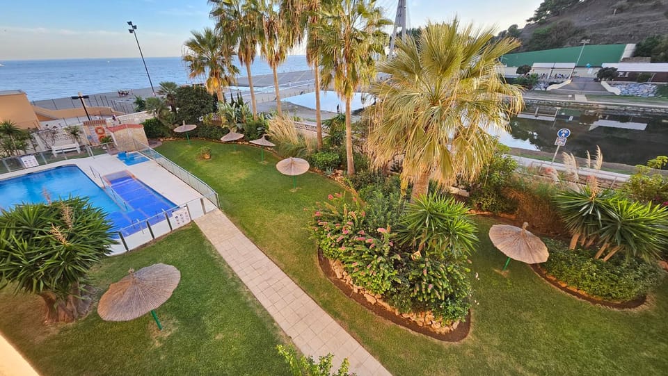 Garden, Swimming pool