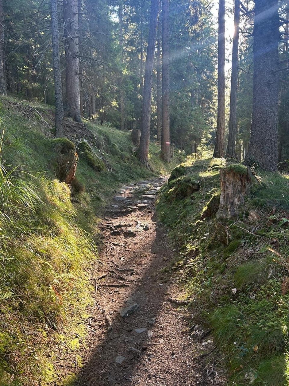 Hiking