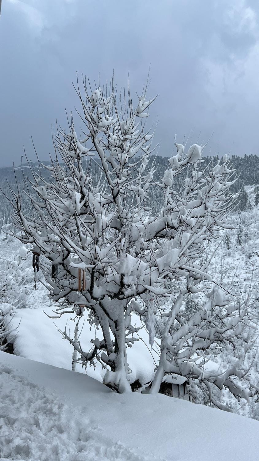 Natural landscape, Winter