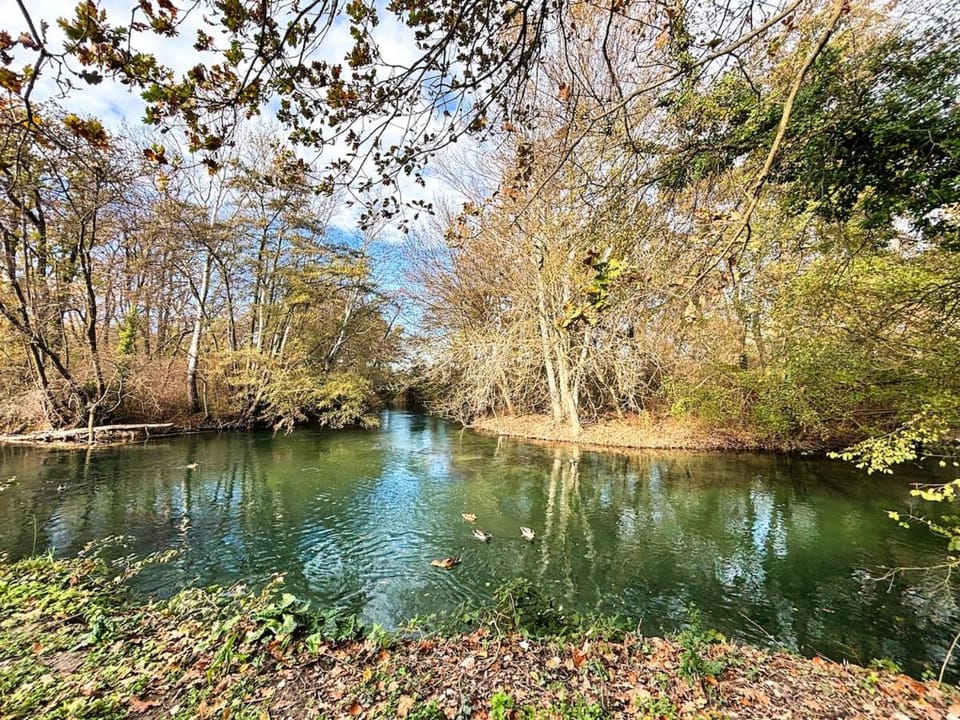 River view