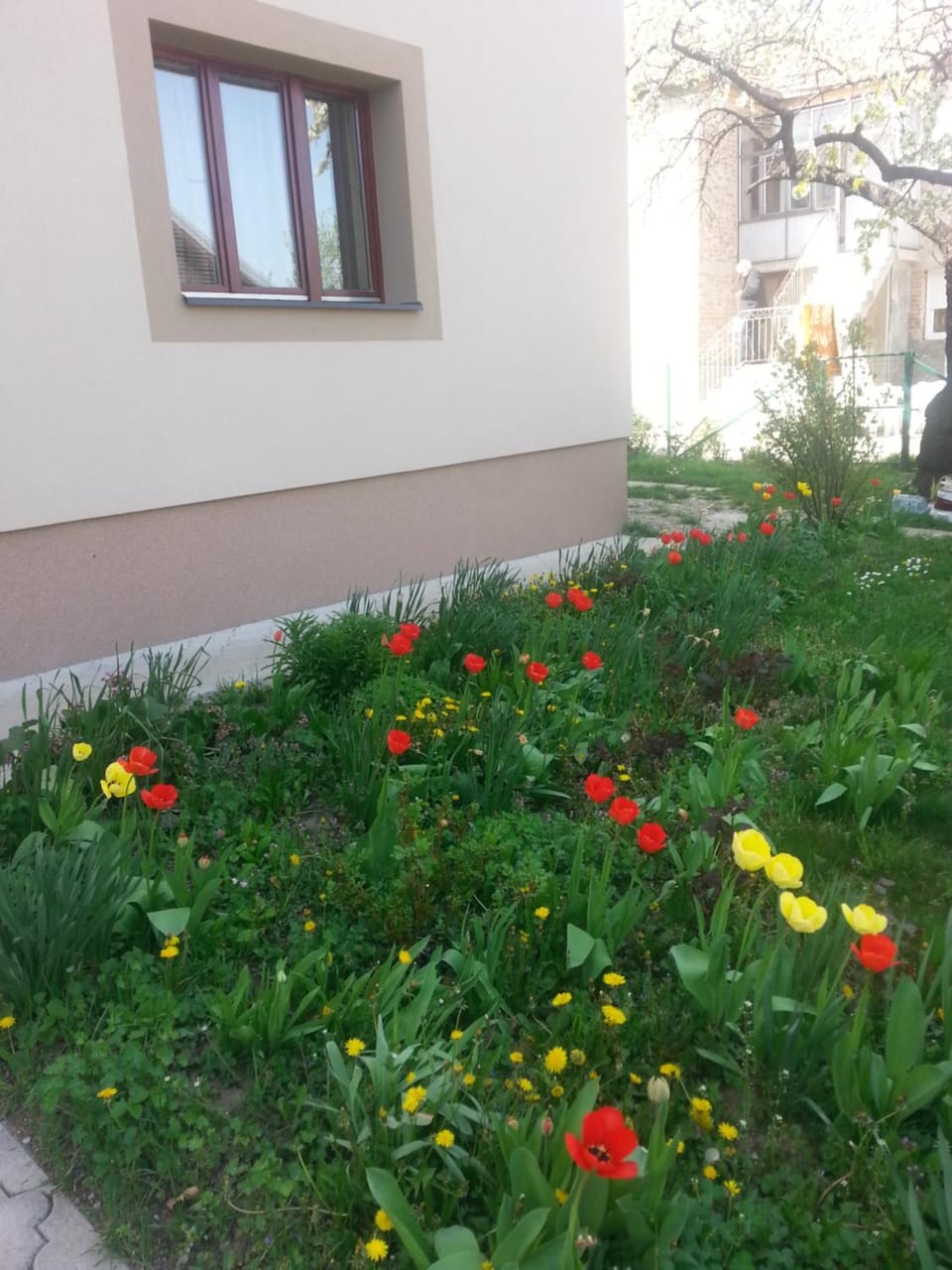 Sweet Dreams Apartment Apartment in Serbia