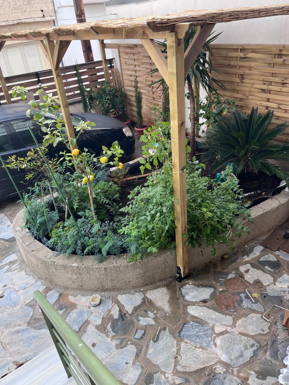 Garden view