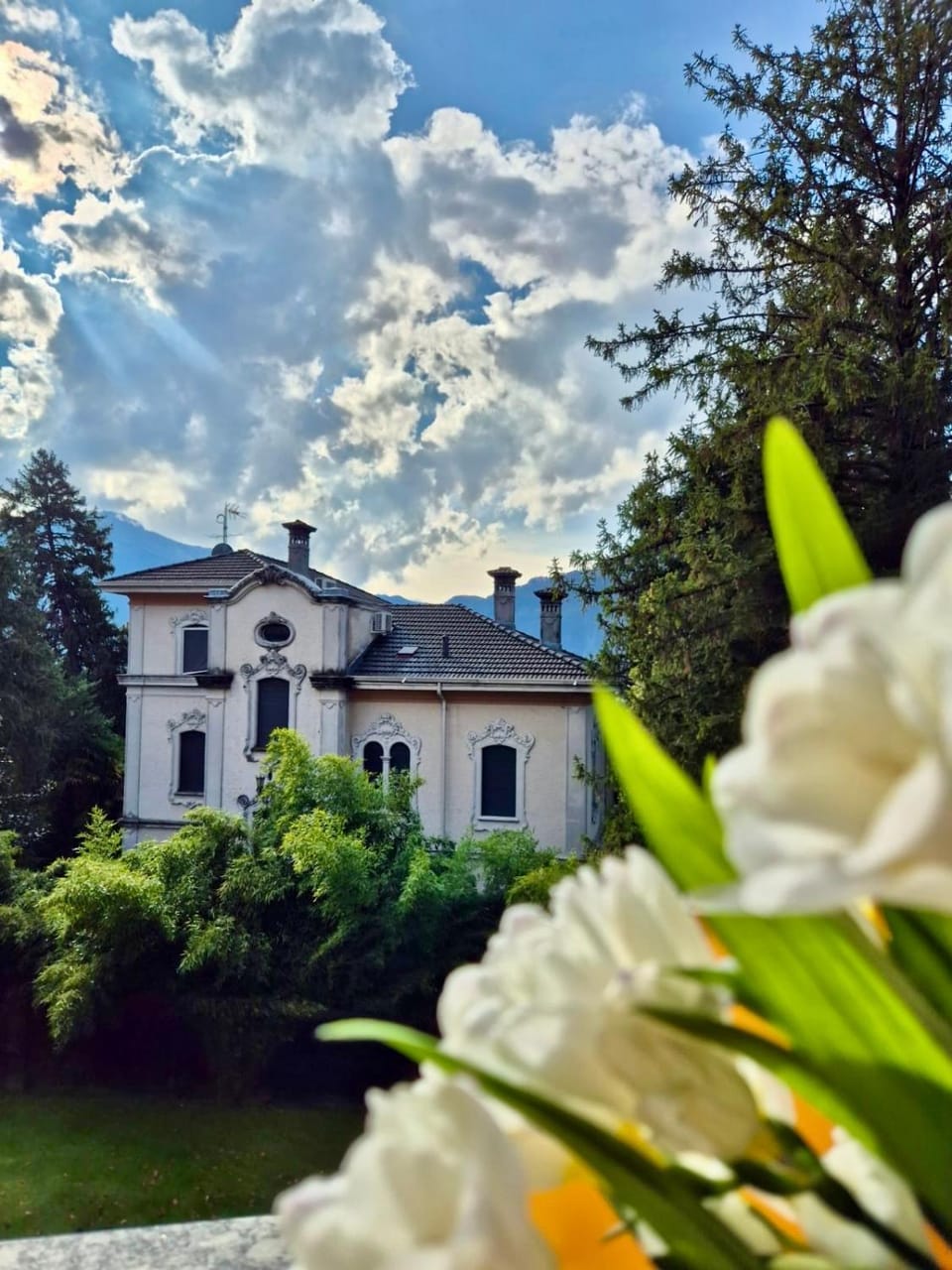 Faggi & Quiet Apartment in Mandello del Lario