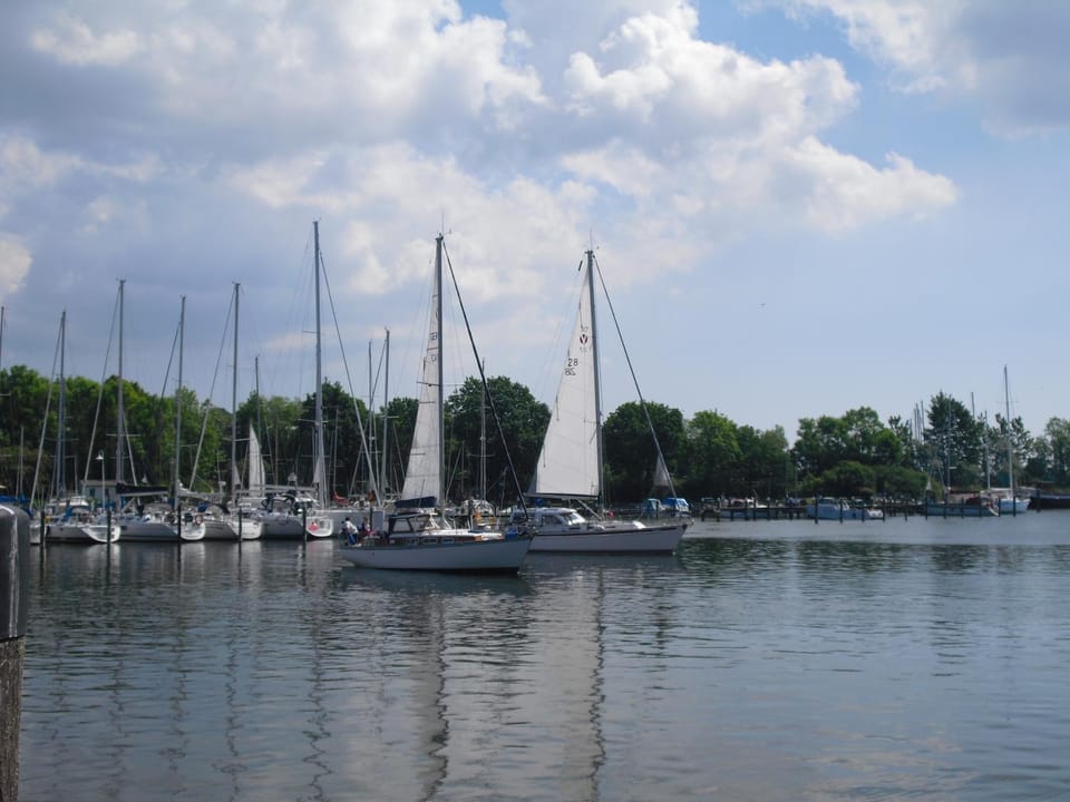 Natural landscape