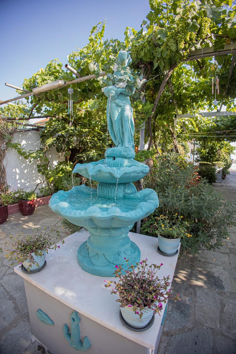 Garden view
