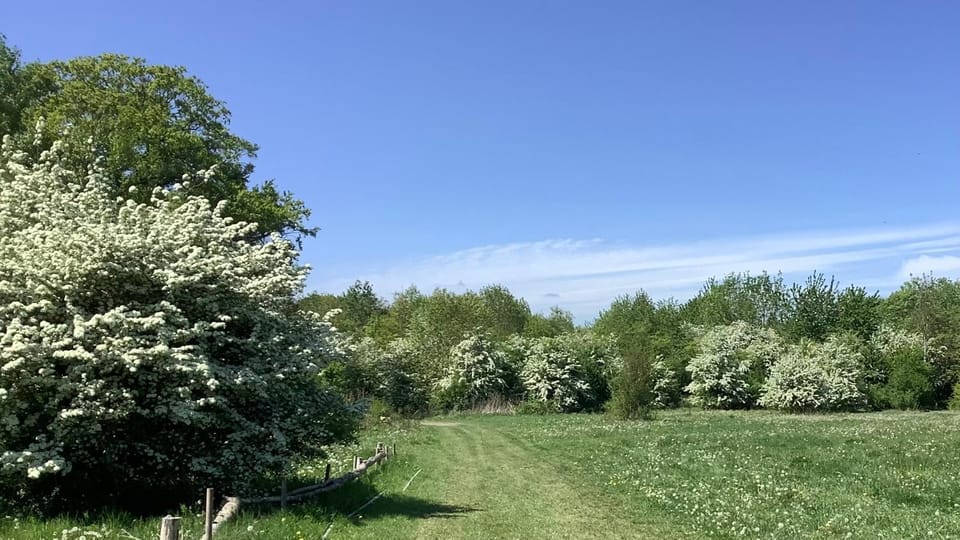 Bellows Mill Apartment in Aylesbury Vale