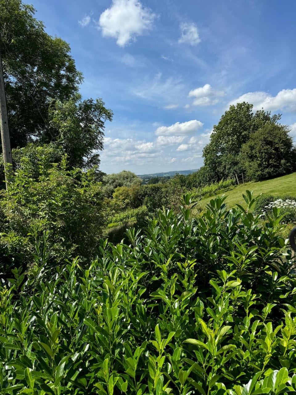 Natural landscape