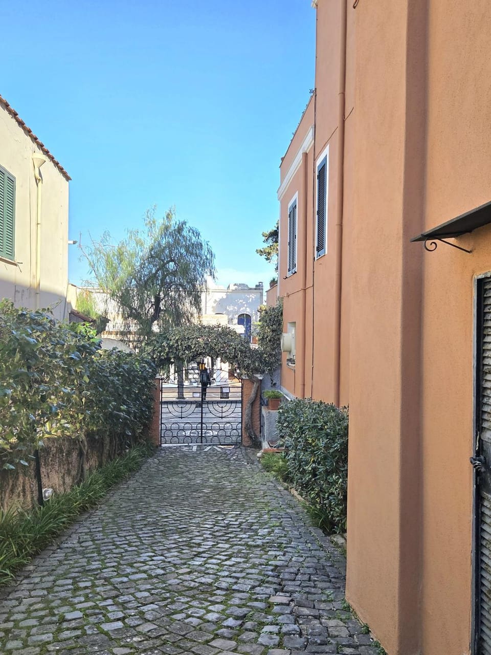 Property building, Neighbourhood, Street view